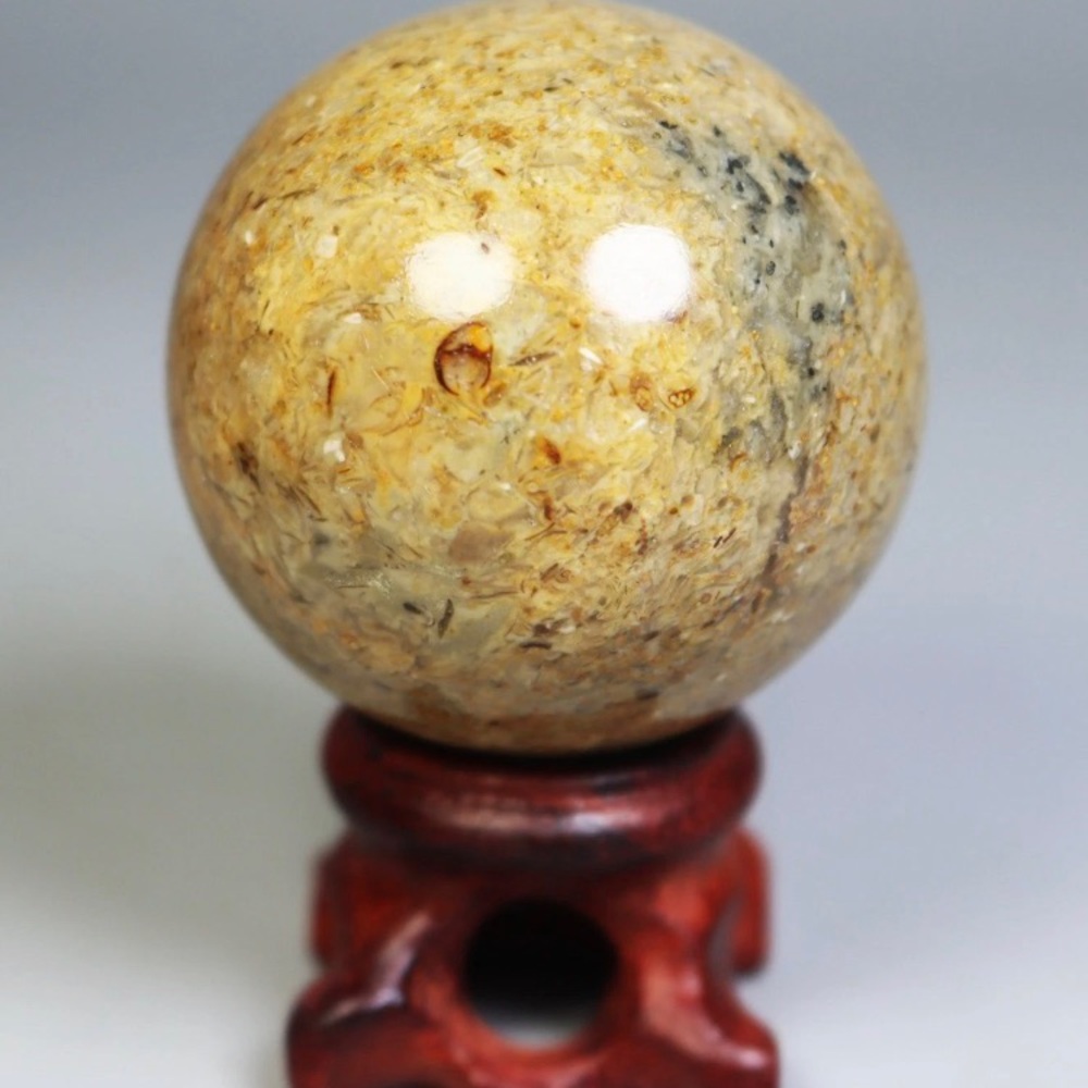 Fossil Shell Sphere on Stand